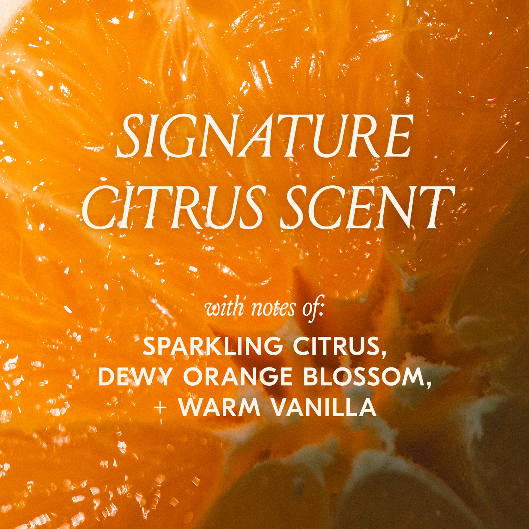 Citrus Twist Hair Styling + Fragrance Mist Duo - Image 9