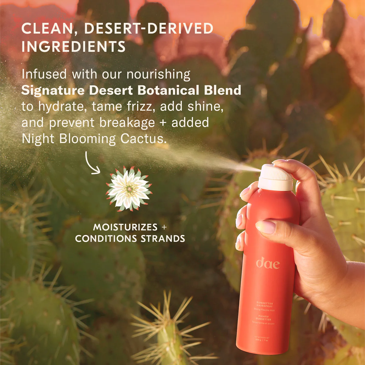 Sunsetter Hairspray - Image 10