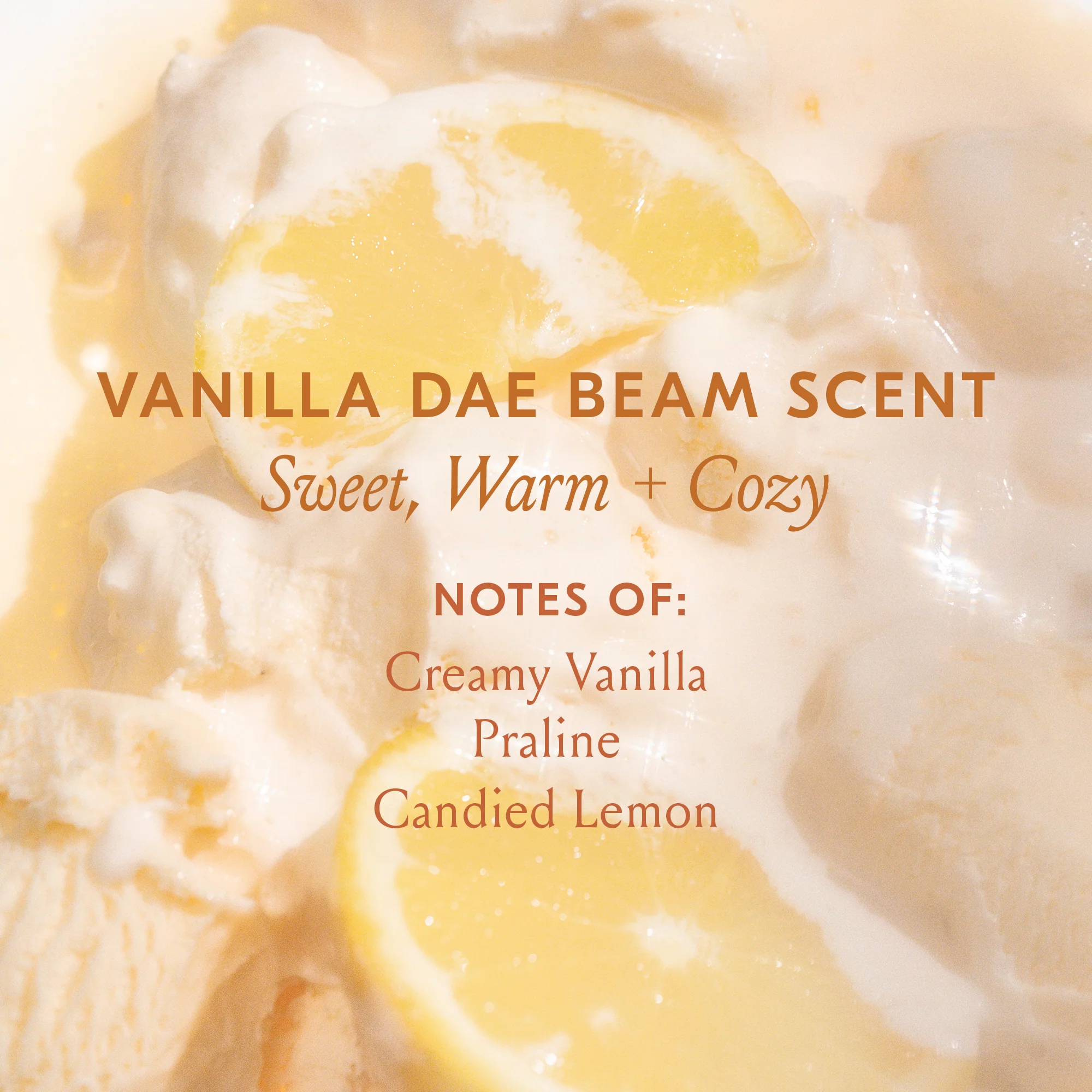 Cactus Fruit 3-in-1 Styling Cream + Taming Wand - Vanilla Dae Beam - Image 12